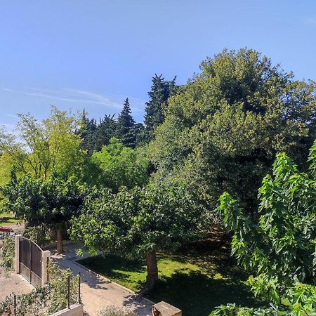 Mas provençal au cœur des vergers Vallabrègues Extérieur photo
