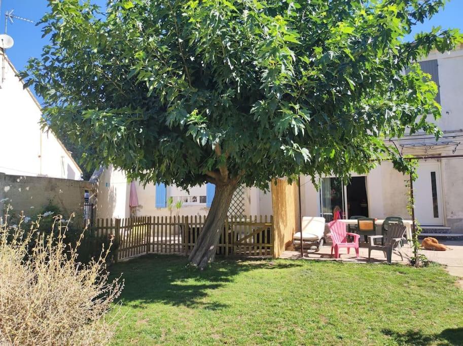 Mas provençal au cœur des vergers Vallabrègues Extérieur photo